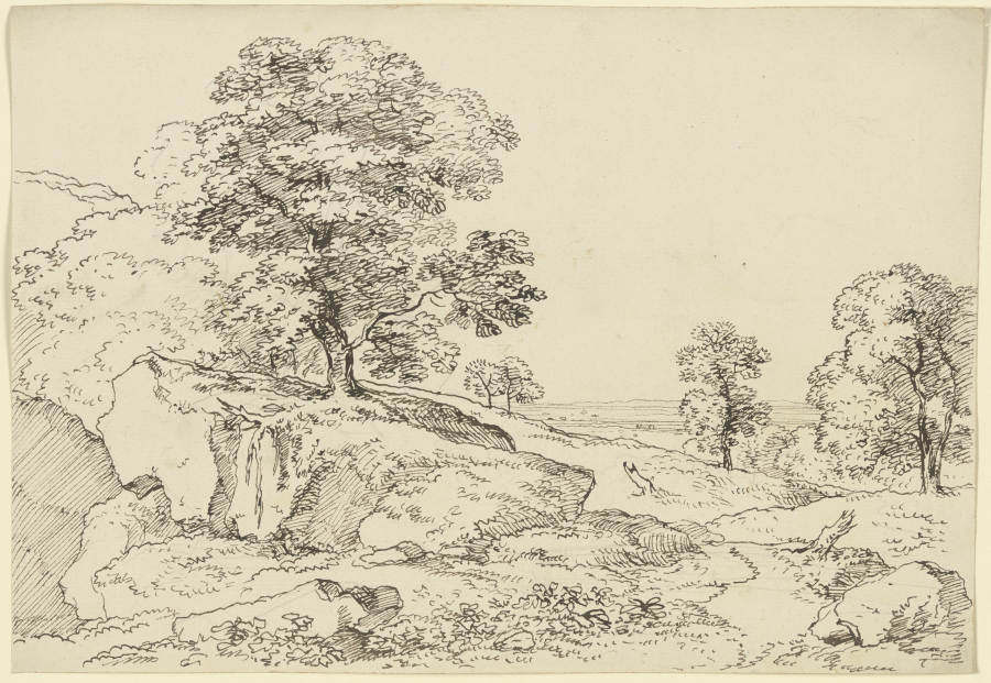 Alter Baum auf einem Felsvorsprung in einer Wiesenlandschaft from Franz Innocenz Josef Kobell