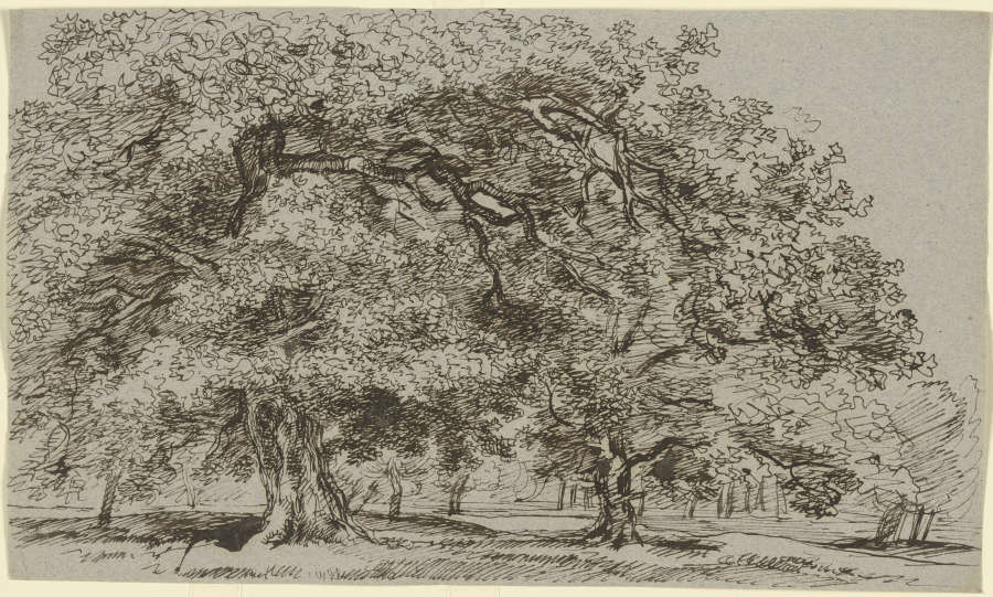 Trees on a meadow from Franz Innocenz Josef Kobell