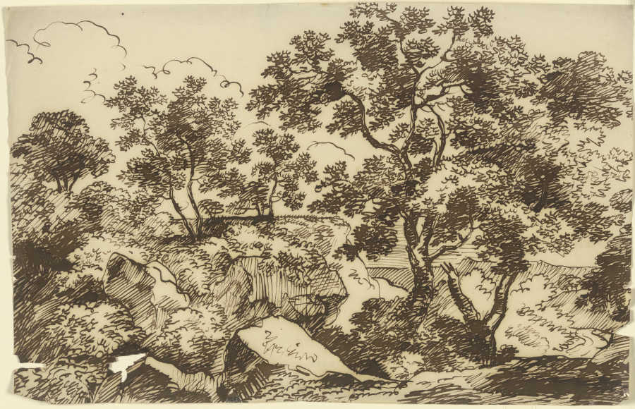 Bäume in einer felsigen Landschaft from Franz Innocenz Josef Kobell