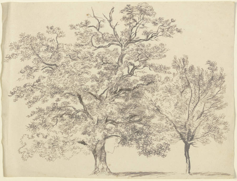 Ein alter und ein junger Baum from Franz Innocenz Josef Kobell