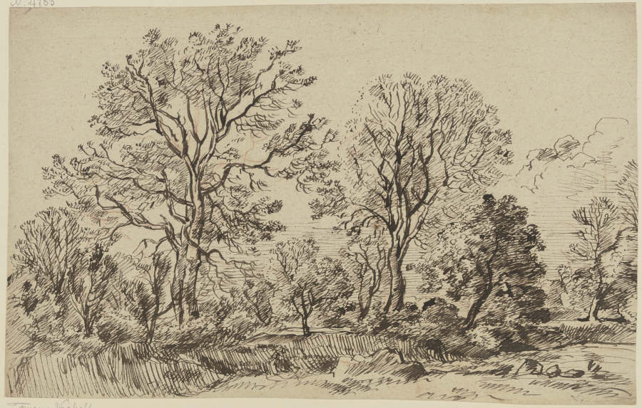 High leafless trees from Franz Innocenz Josef Kobell