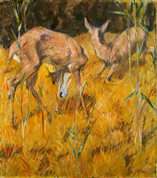 Deer in the reed from Franz Marc