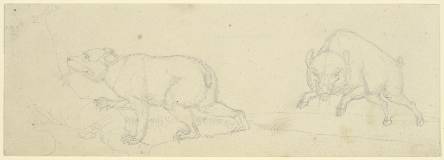Ein Bär und ein angriffslustiges Wildschwein from Franz Pforr