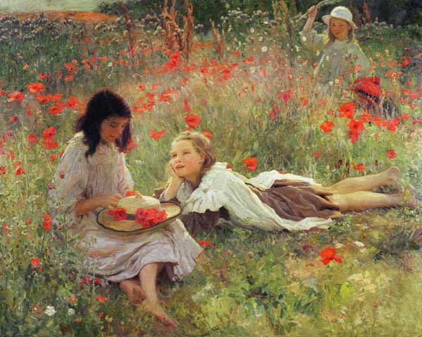 Poppies, c.1909  from Frederick Stead