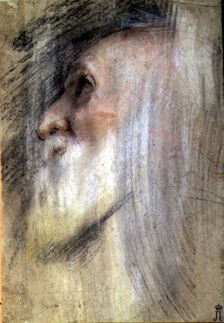 Head of an Old Man in Profile from Frederico (Fiori) Barocci