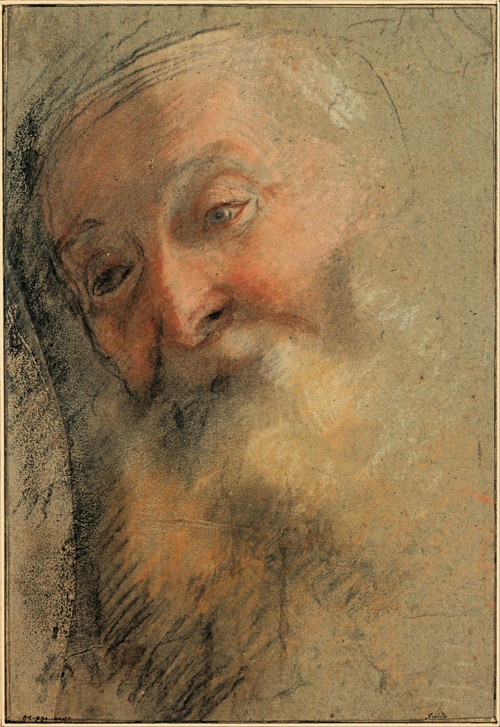 Head of an Old Bearded Man from Frederico (Fiori) Barocci