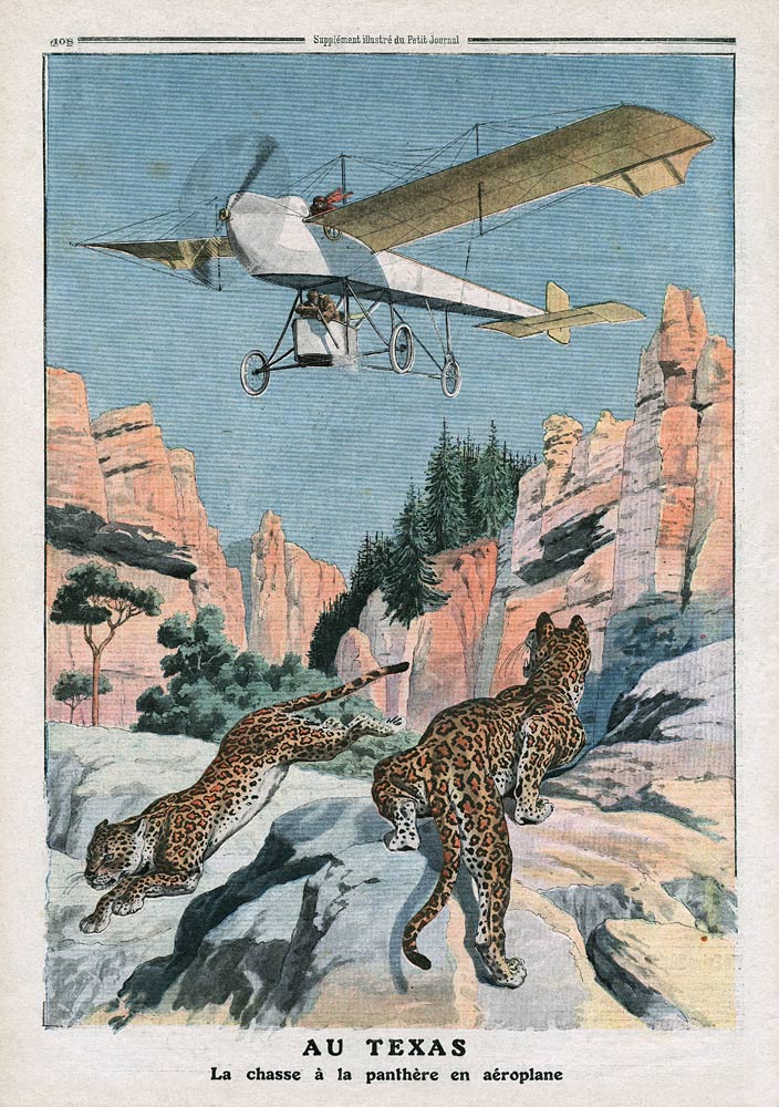 Hunting panthers from an airplane in Texas, illustration from ''Le Petit Journal'', supplement illus from French School