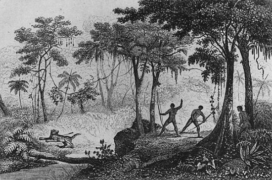 Jaguar Hunt, from ''Bresil, Columbie et Guyanes'' Ferdinand Denis and Cesar Famin 1837 (engraving) from French School