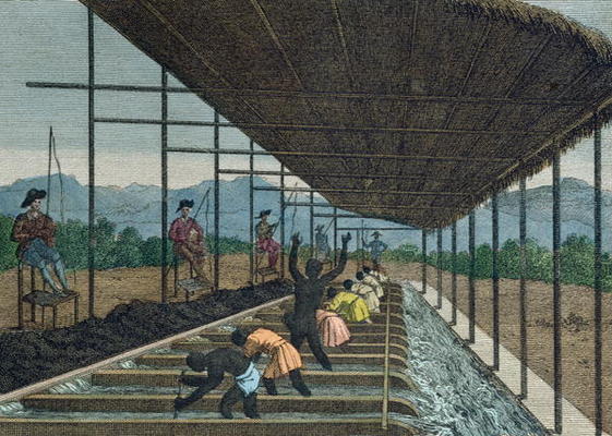 Slaves washing 'cascalho' as part of the diamond mining process in Brazil, 1811 (coloured engraving) from French School, (19th century)
