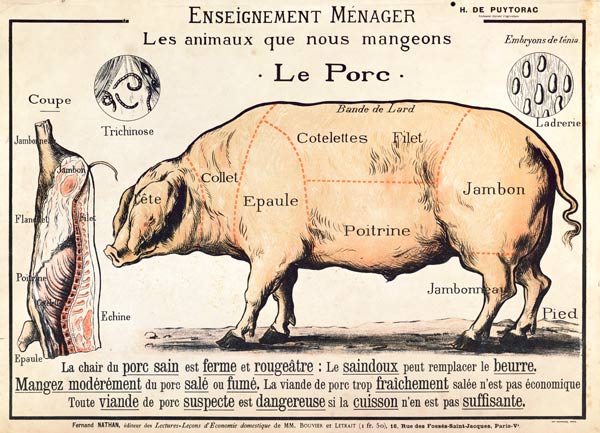 Cuts of Pork, illustration from a French Domestic Science Manual by H. de Puytorac
(colour litho) from French School, (20th century)