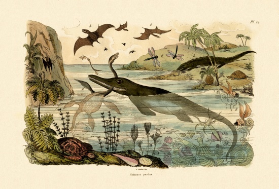 Prehistoric animals from French School, (19th century)