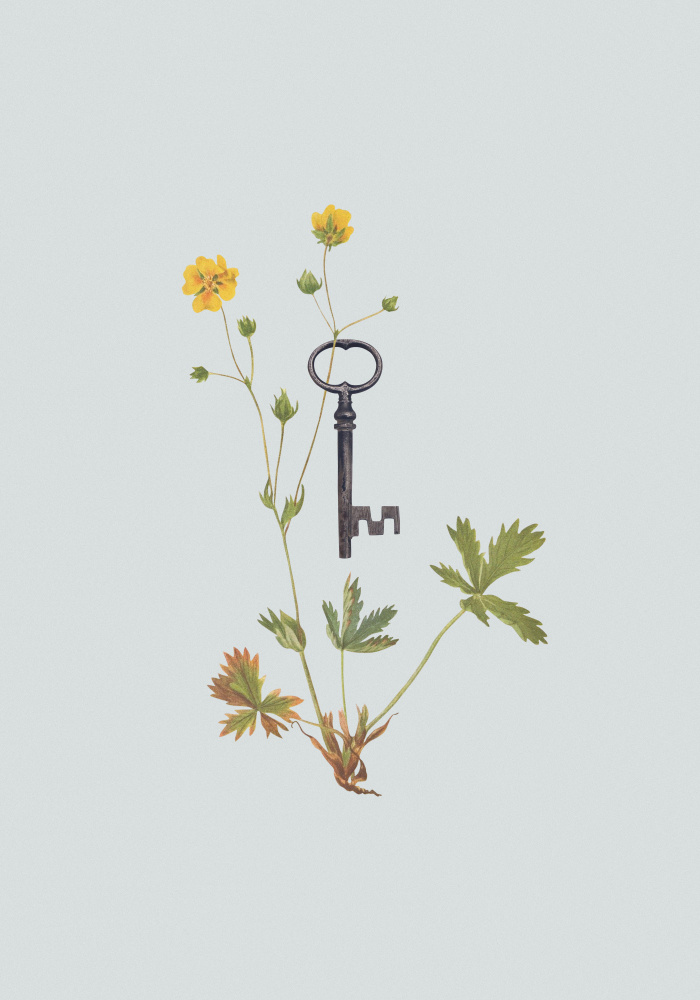 Botanical vintage key from Frida Floral Studio