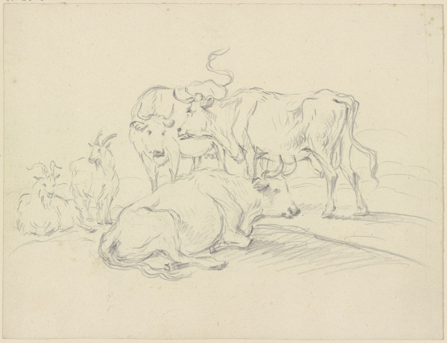 Cows and goats from Friedrich Wilhelm Hirt