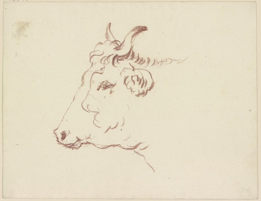 Ox head to the left from Friedrich Wilhelm Hirt