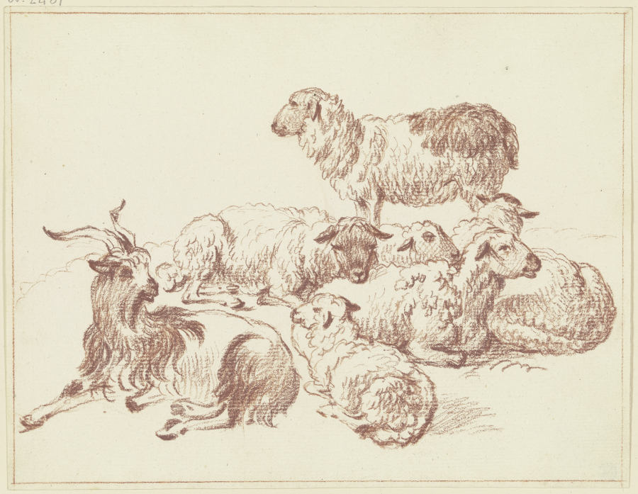 Schafe und ein Ziegenbock from Friedrich Wilhelm Hirt