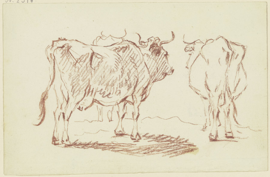 Stehende Kühe von hinten gesehen from Friedrich Wilhelm Hirt