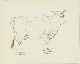 Stehende Kuh im verlorenen Profil nach rechts