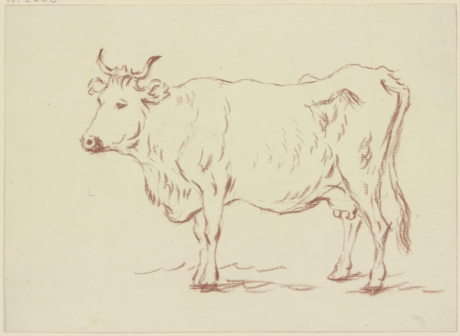 Standing cow to the left from Friedrich Wilhelm Hirt