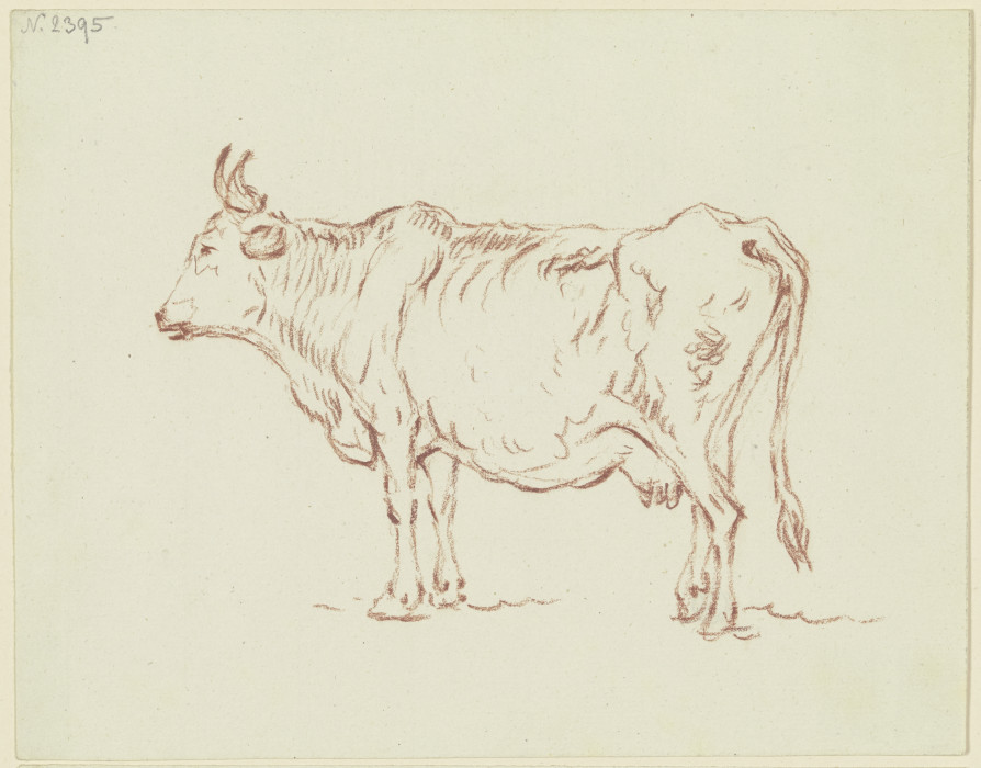 Stehende Kuh nach links, mit leicht gehobenem rechten Hinterlauf from Friedrich Wilhelm Hirt