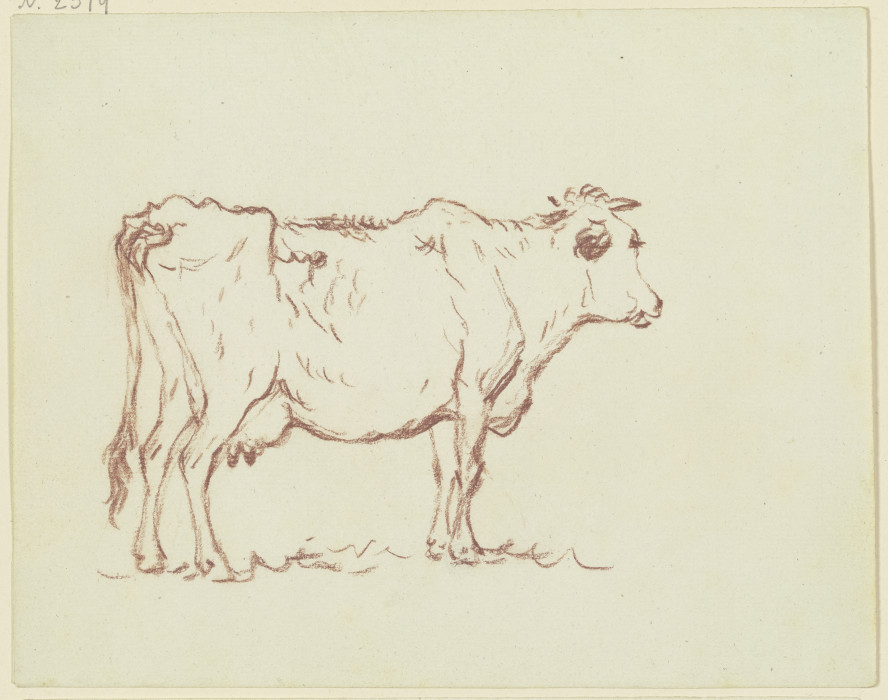 Stehende Kuh nach rechts from Friedrich Wilhelm Hirt
