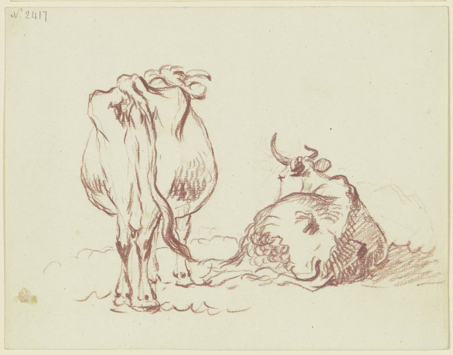 Zwei Rinder, eines stehend, eines liegend, beide rückansichtig, das liegende in starker Verkürzung from Friedrich Wilhelm Hirt
