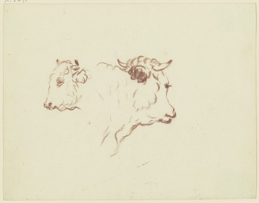 Two cattle heads from Friedrich Wilhelm Hirt