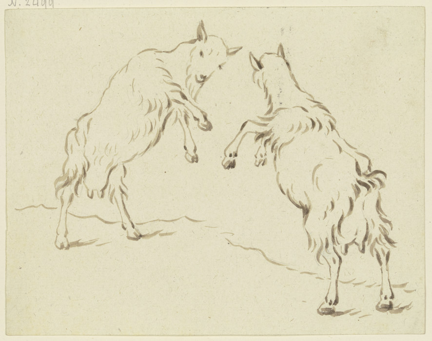 Zwei Ziegen, einander angreifend from Friedrich Wilhelm Hirt