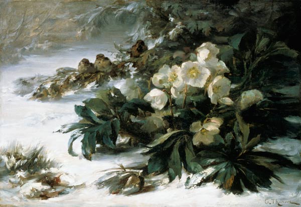 Snow roses from Gabriel Edouard Thurner