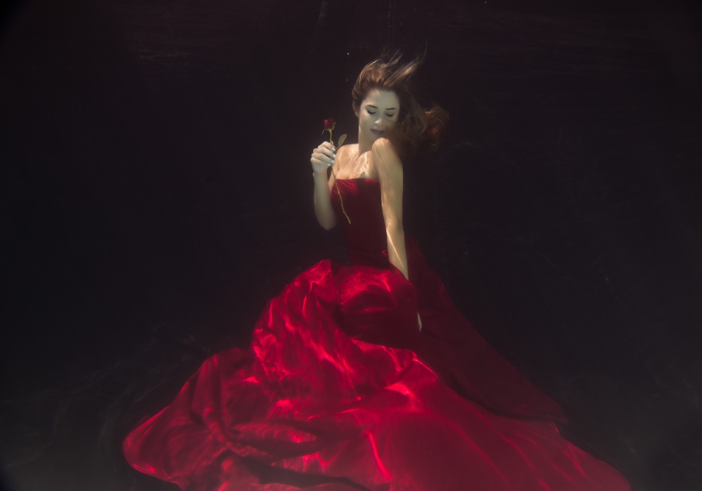 Red Queen from Gabriela Slegrova