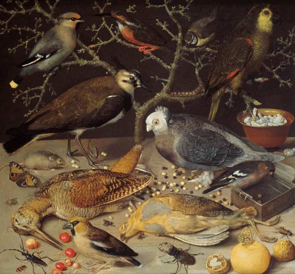 Still Life of Birds and Insects from Georg Flegel