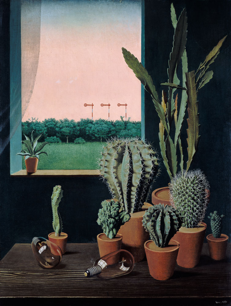 Cacti and semaphores from Georg Scholz