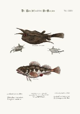 The Horned Fish, and the Sea Scorpion