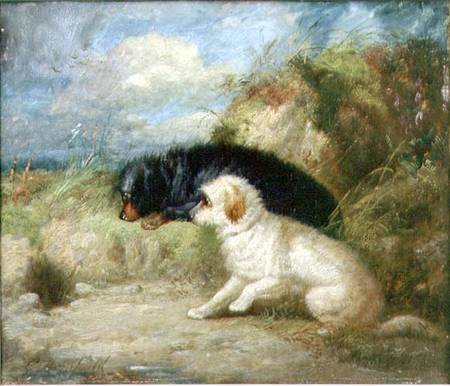Terriers by a Rabbit Hole from George Armfield