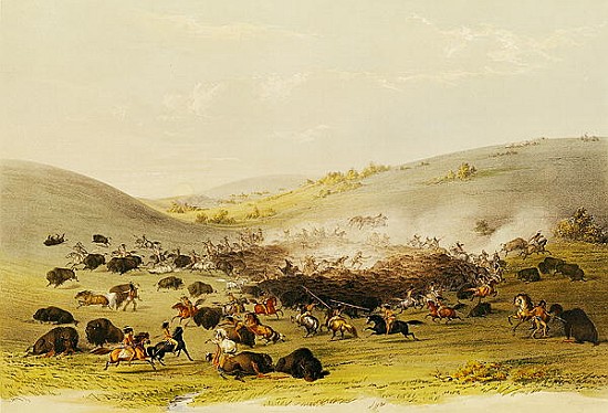Buffalo Hunt, Surround, c.1832 from George Catlin