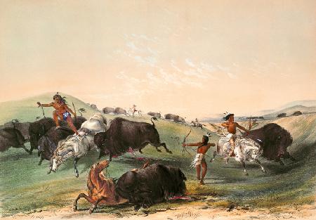 Buffalo Hunt, plate 7 from Catlin's North American Indian Collection, engraved by McGahey, Day and H