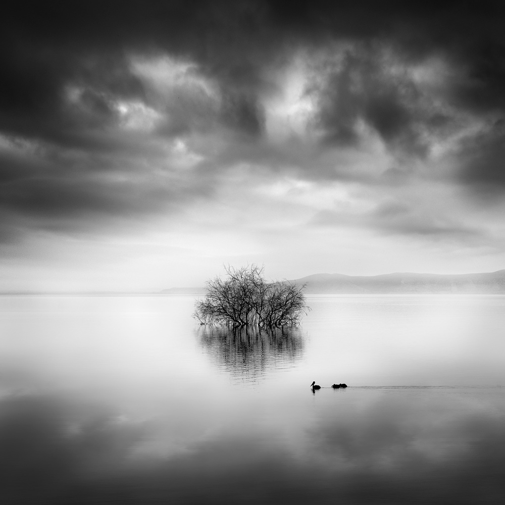 A Ray of Light from George Digalakis