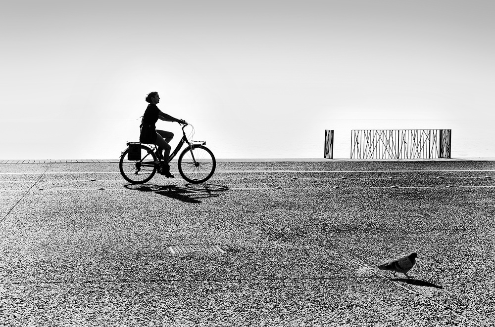 Bicycle Stories from George Digalakis
