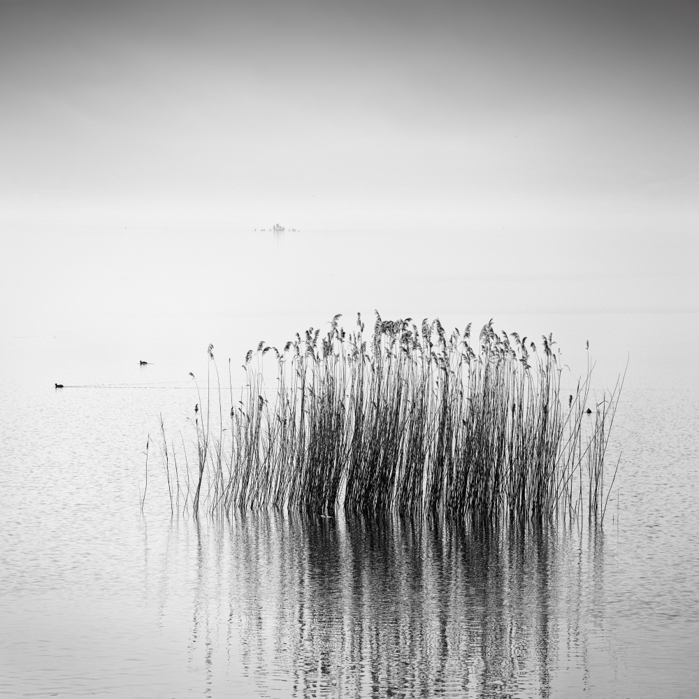 Enjoy the Silence from George Digalakis