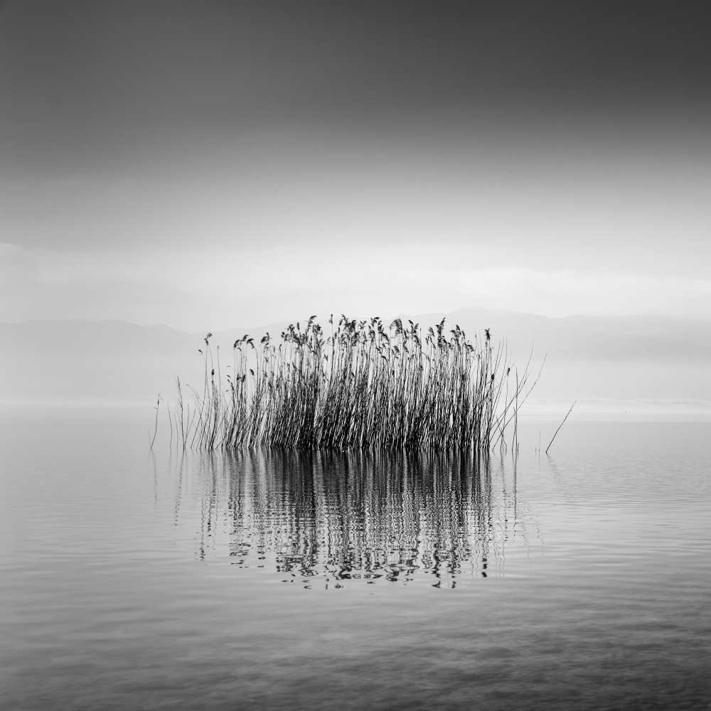 Lake Reflections from George Digalakis
