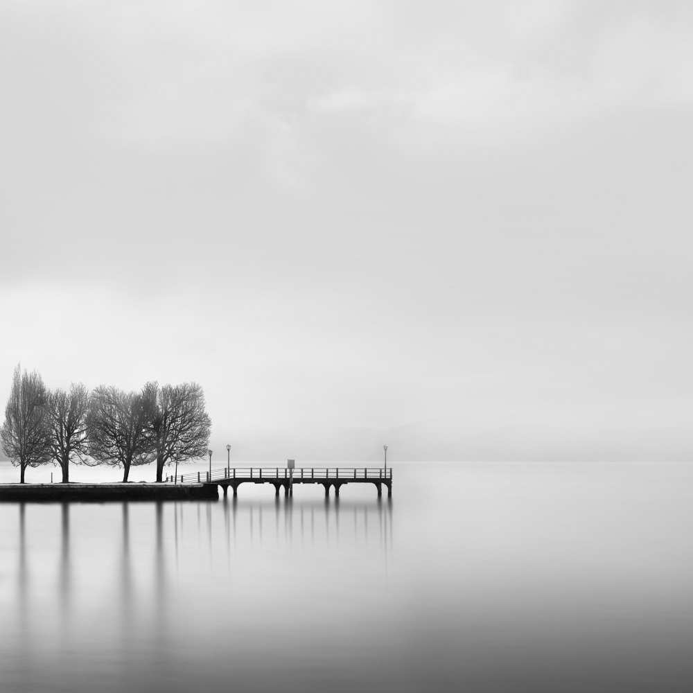 Pier with Trees (2) from George Digalakis