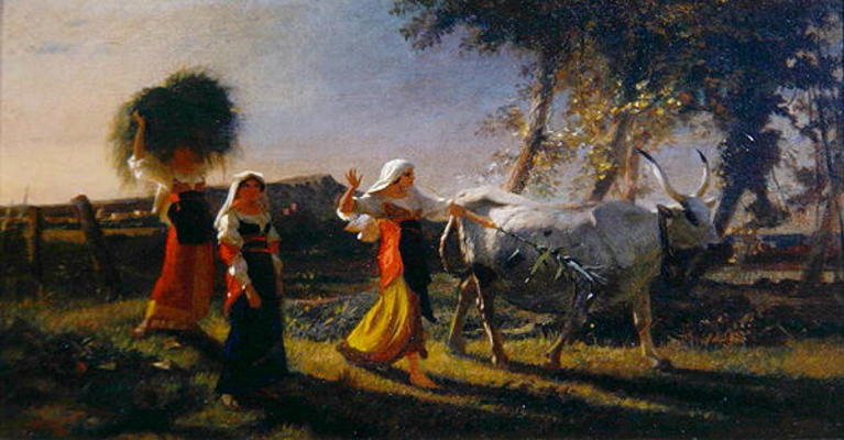 Italian Peasant Women in the Campagna driving an Ox (oil on canvas) from George Hemming Mason