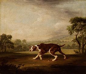 Pointer. from George Stubbs