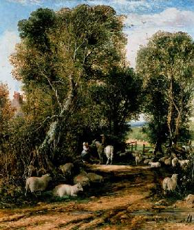 Pastoral Scene with sheep