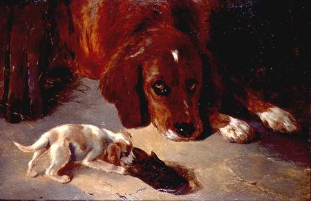 An Inquisitive Puppy (board) from George W. Horlor
