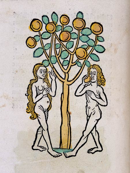 The Tree of Knowledge, from Ortus Sanitatis' from German School