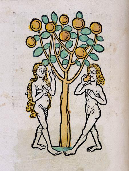 The Tree of Knowledge, from Ortus Sanitatis'