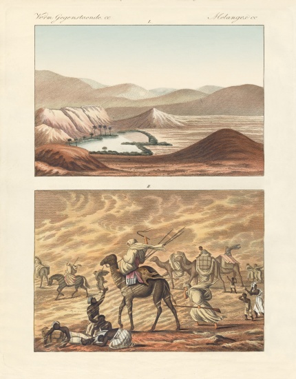 About the Sahara from German School, (19th century)