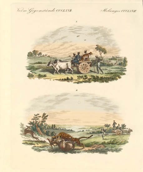 Antelopes hunting with leopards from German School, (19th century)