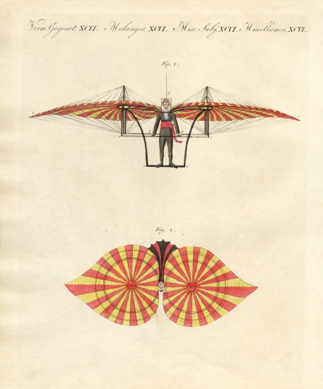Degen's flying machine from German School, (19th century)