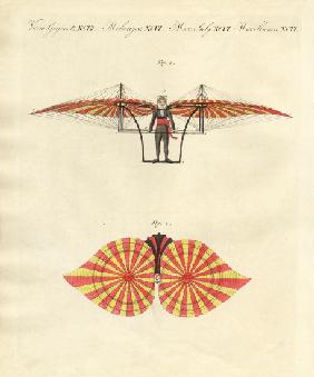 Degen's flying machine